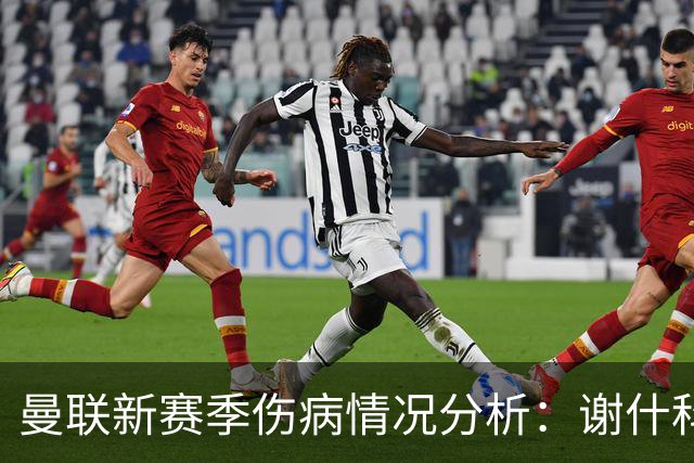曼联新赛季伤病情况分析：谢什科和德里赫特缺阵